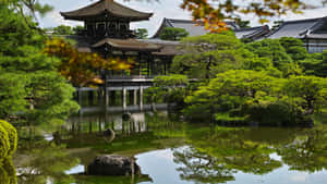日本寺廟亭閣倒映在平靜的池塘中，周圍有綠樹。 — 日本 壁紙