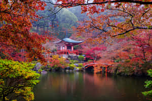 紅色日本亭閣和橋樑倒映在秋樹間的水中。 — 日式審美桌面 壁紙