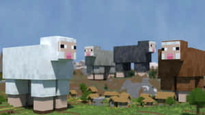 四隻像素化的Minecraft羊以不同羊毛顏色站在草地村莊中。 — 我的世界 壁紙