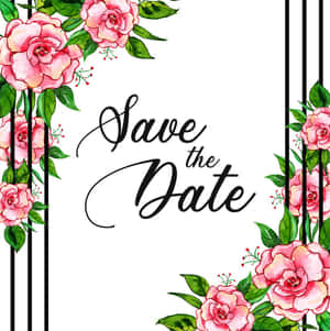 白色背景上帶有黑色條紋的粉紅玫瑰和綠葉的Save the Date卡片。 — 婚紗 壁紙