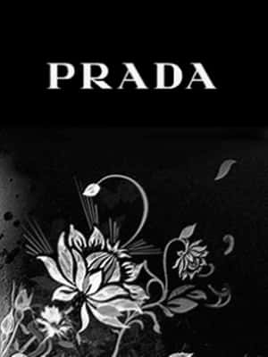 PRADA標誌搭配黑色背景上的白色花卉設計 — Prada 壁紙