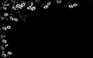 黑色背景左上角的白色花朵和蝴蝶剪影。 — 花卉 壁紙