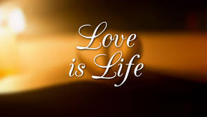 在溫暖的金色模糊背景上，以優雅的白色草書顯示 Love is Life 文字。 — 愛情語錄 GIF 壁紙