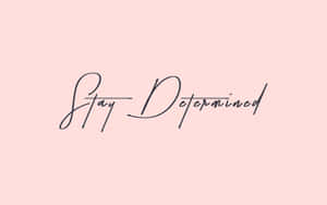 勵志名言 Stay Determined 以優雅黑色草書寫在粉紅色背景上 — 粉紅色美學桌面 壁紙