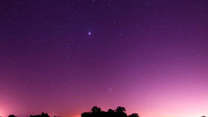 紫色和粉紅色暮色天空，有星星和樹木剪影。 — 紫色夜空 壁紙