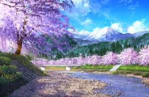 櫻花樹沿著河流排列，背景是白雪覆蓋的山峰。 — 櫻花 壁紙