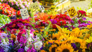 色彩繽紛的花攤，有向日葵、雛菊和非洲菊，售價2.50。 — 1600x900 壁紙