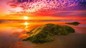 海灘上的夕陽，色彩繽紛的天空反射在濕沙和長滿苔蘚的岩石上。 — 日落 壁紙
