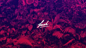 洋紅色和紫色的熱帶叢林樹葉，帶有白色草書 'lush' 標誌。 — 音樂錄影帶 壁紙