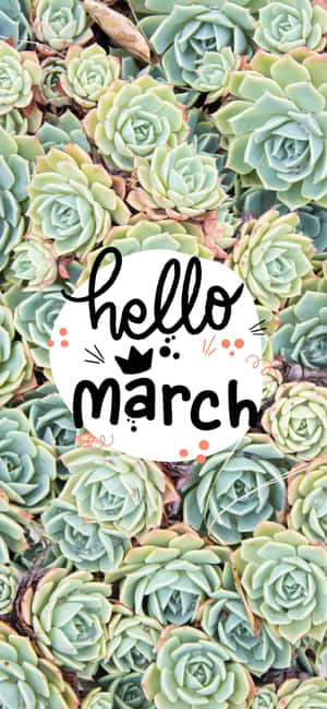 帶有 hello march 文字疊加的多肉植物 — iPhone 16e 壁紙