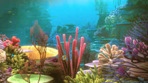清澈藍色海水中，色彩繽紛的珊瑚礁，有海扇和魚類。 — 珊瑚 壁紙