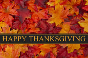 帶有「Happy Thanksgiving」文字橫幅的秋葉。 — 秋天 壁紙
