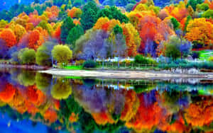 秋林倒映在寧靜的湖泊中，呈現出充滿活力的紅色、橙色和綠色樹葉。 — 湖泊 壁紙