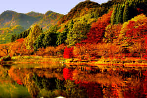 秋日森林，紅金相間的樹木倒映在平靜的湖面上，群山環繞。 — MacBook Pro M3 壁紙