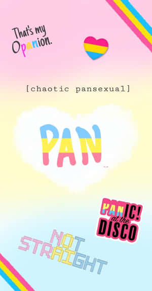 彩色圖形，帶有慶祝混亂泛性戀和Panic! at the Disco的文字。 — 旗幟 壁紙