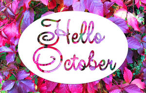 彩色草書文字「Hello October」在白色橢圓形上，周圍環繞著秋葉。 — 粉色花朵 壁紙