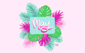 熱帶葉子框住一個藍色盒子，上面用粉紅色手寫體寫著「May」。 — 五月 壁紙