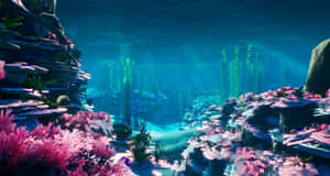 水下場景，粉紅色珊瑚和綠色海帶沐浴在陽光中。 — 珊瑚 壁紙