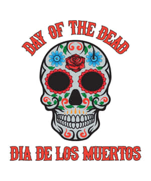 色彩繽紛的糖骷髏，帶有花朵和 Day of the Dead 文字。 — Pixel Fold 壁紙