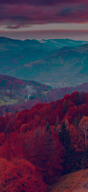 紫色暮色天空下，起伏山丘上的紅色秋林，遠處有山巒。 — Pixel 8 壁紙