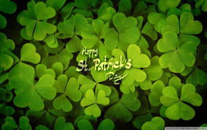 Happy St Patrick's Day 文字在茂密的綠色三葉草葉片上。