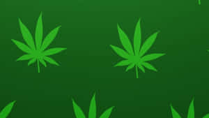 在綠色漸變背景上漂浮的大麻葉。 — 大麻 壁紙