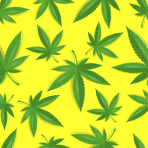 綠色大麻葉在明亮的黃色背景上以重複圖案呈現。 — iPad Pro 12.9 壁紙