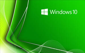 Windows 10標誌在帶有流動白色線條的綠色抽象背景上。 — 深綠色系動畫 壁紙