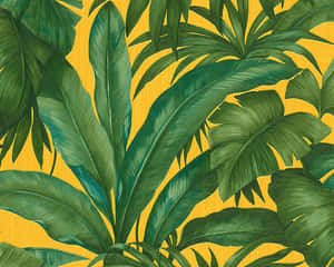 在帶有紋理的金黃色背景上的熱帶綠色葉子。 — 植物美學 壁紙