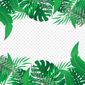 充滿活力的綠色熱帶葉片邊框設計，用於框住內容。 — 棕櫚樹日落 壁紙