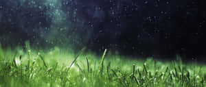 夜間雨中的綠色草地，背景有發光的散景燈光 — 海灘日落 壁紙
