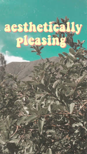 在帶有復古文字的藍綠色天空下，綠葉和遠山。 — 植物美學 壁紙