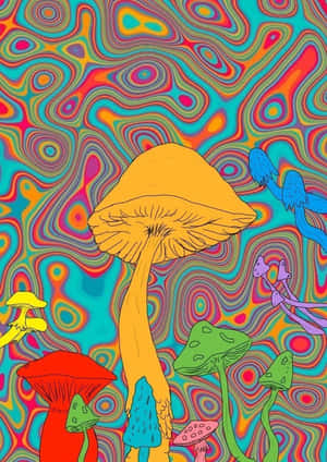 漩渦迷幻圖案中的彩色蘑菇 — 蘑菇美學 壁紙