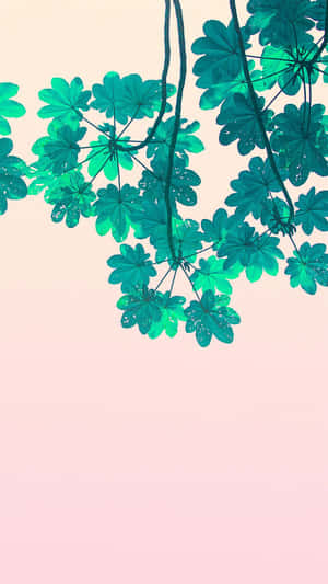 青綠色葉子垂掛在柔和的粉紅色天空前。 — 簡約 壁紙