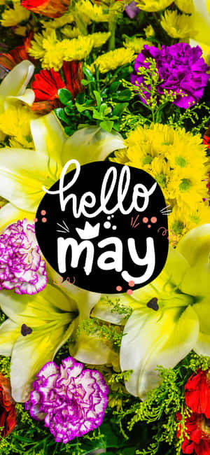 Hello May 文字在一個黑色圓圈內，周圍環繞著色彩繽紛的春季花朵。 — Nothing Phone 壁紙