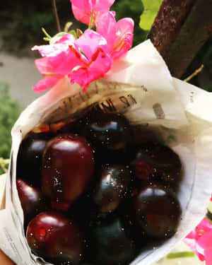 一束用紙包裹的深紫色紅棗，附近有粉紅色花朵。 — 攝影 壁紙