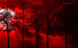 光禿禿的樹木剪影映襯著紅色的暴風雨天空和閃電。 — 閃電麥坤 壁紙