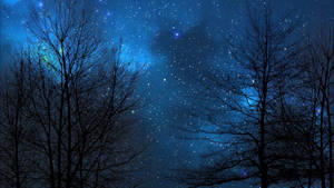 光禿禿的樹木剪影映襯著繁星點點的藍色夜空，星雲閃爍。 — 夜晚 壁紙