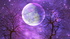 光禿禿的樹木剪影，背景是紫色星空和一輪發光的滿月。 — 月光 壁紙