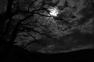 月光穿過光禿禿的樹枝，映襯著陰暗多雲的天空。 — 暗黑美學電腦 壁紙