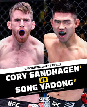 兩位男性MMA拳手在UFC賽事中於籠內大喊。 — 終極格鬥冠軍賽 壁紙