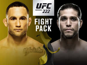 兩位男性MMA拳手在UFC宣傳藝術中，以嚴肅的表情面向前方。 — 終極格鬥冠軍賽 壁紙