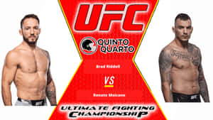 兩位赤裸上身的男性MMA拳手為UFC冠軍賽卡擺姿勢。 — 運動 壁紙