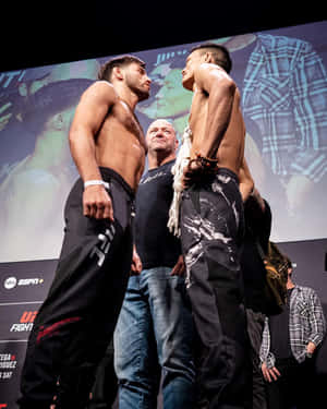 兩位赤裸上身的MMA拳手在稱重活動中對視，中間有一位裁判。 — 終極格鬥冠軍賽 壁紙