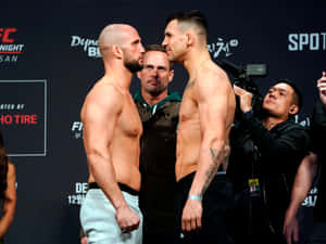 兩位赤裸上身的MMA拳手在UFC稱重活動中互相凝視。 — 終極格鬥冠軍賽 壁紙