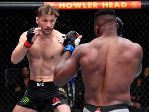 兩名MMA拳手在UFC八角籠內搏鬥。 — 運動 壁紙
