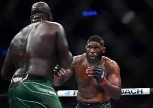 UFC比賽中，兩名MMA拳手在鐵籠內專注的表情。 — 終極格鬥冠軍賽 壁紙