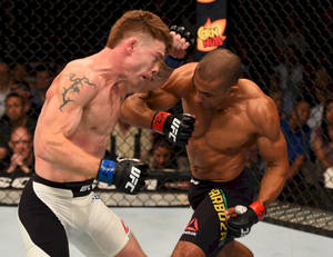 兩位MMA拳手在UFC比賽期間於八角籠內互相出拳。 — 終極格鬥冠軍賽 壁紙