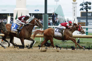 賽馬中騎師與馬匹在終點線競賽。 — 賽馬 壁紙