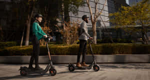 兩個人在陽光明媚的日子裡在城市公園騎電動滑板車。 — 城市景觀 壁紙